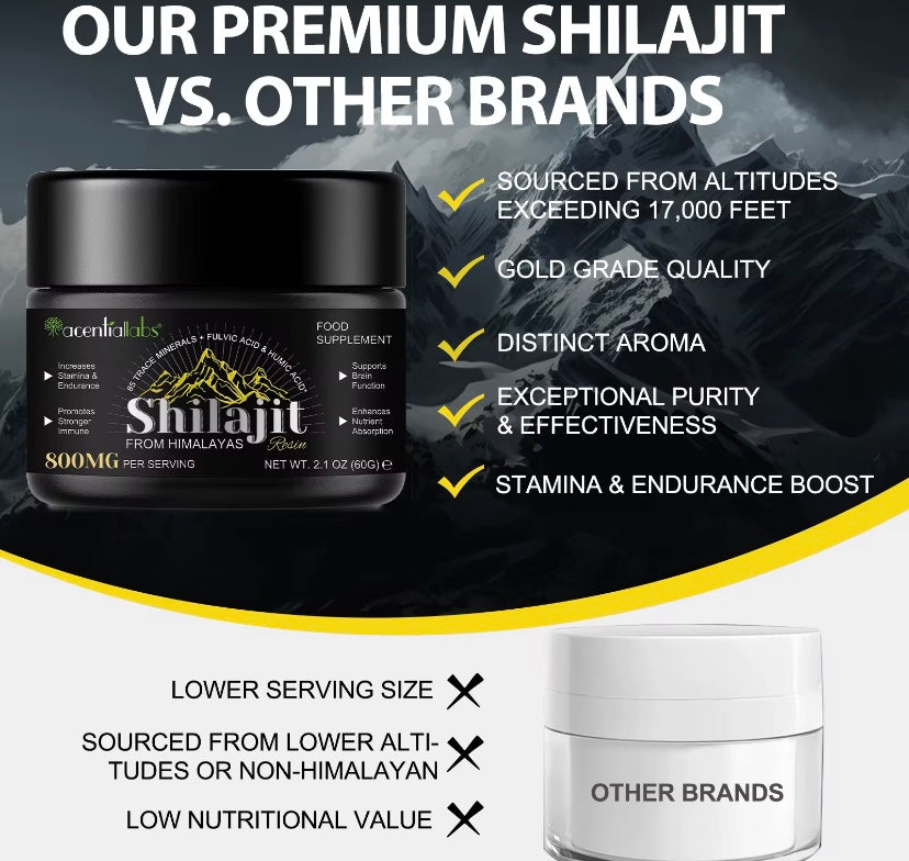 Shilajit 60 g Pur de l’Himalaya